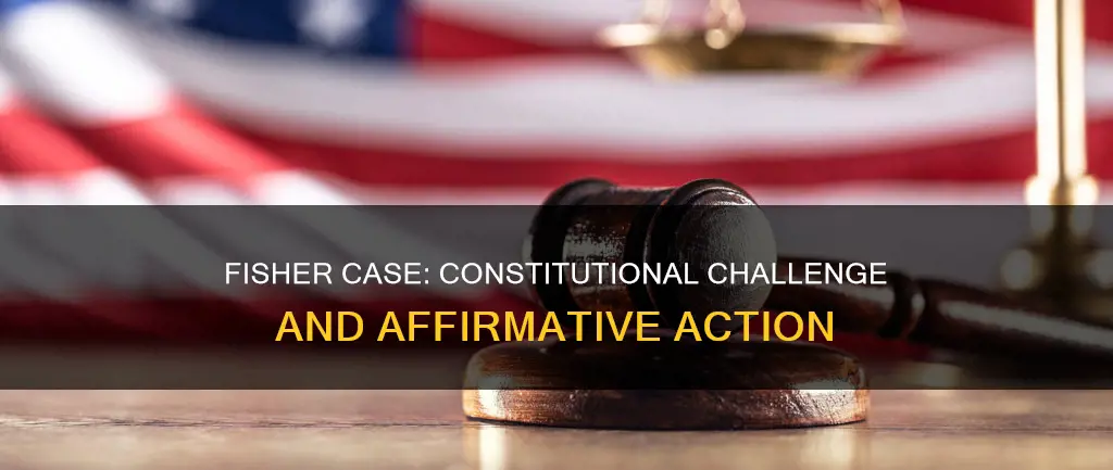 what is the constitutional issue in the fisher case