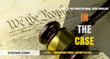 The Constitutional Issue: Understanding the Case Law