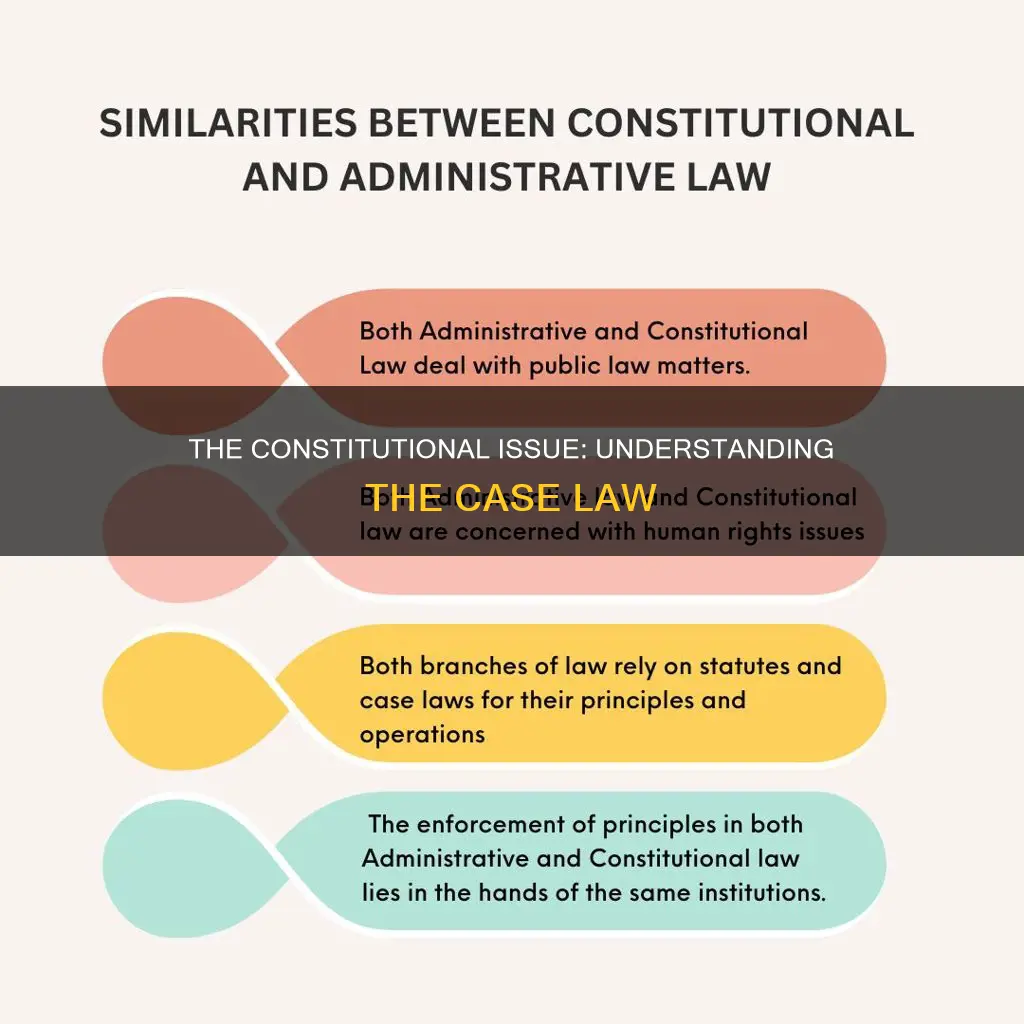 what is the constitutional issue involved in the case