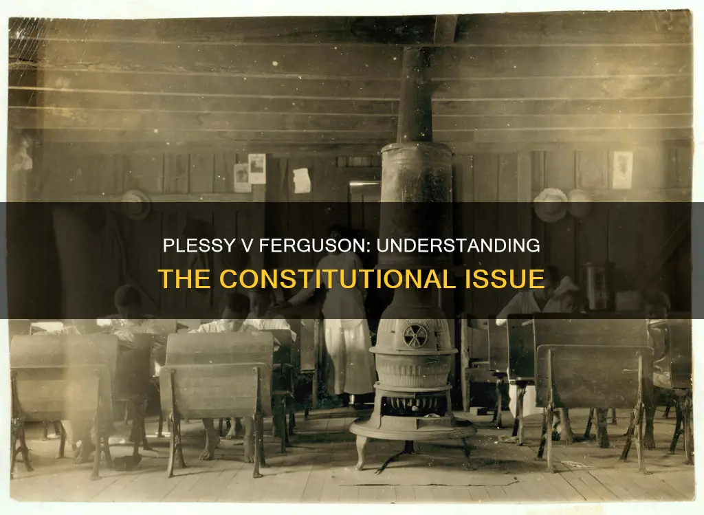 what is the constitutional issue of plessy v ferguson