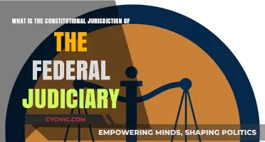 Exploring Federal Judiciary's Constitutional Jurisdiction