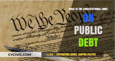 Understanding the Legal Limit on Public Debt