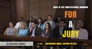 Jury Duty: The Constitutional Minimum