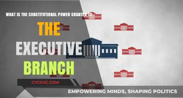 Executive Branch: Constitutional Powers Explained