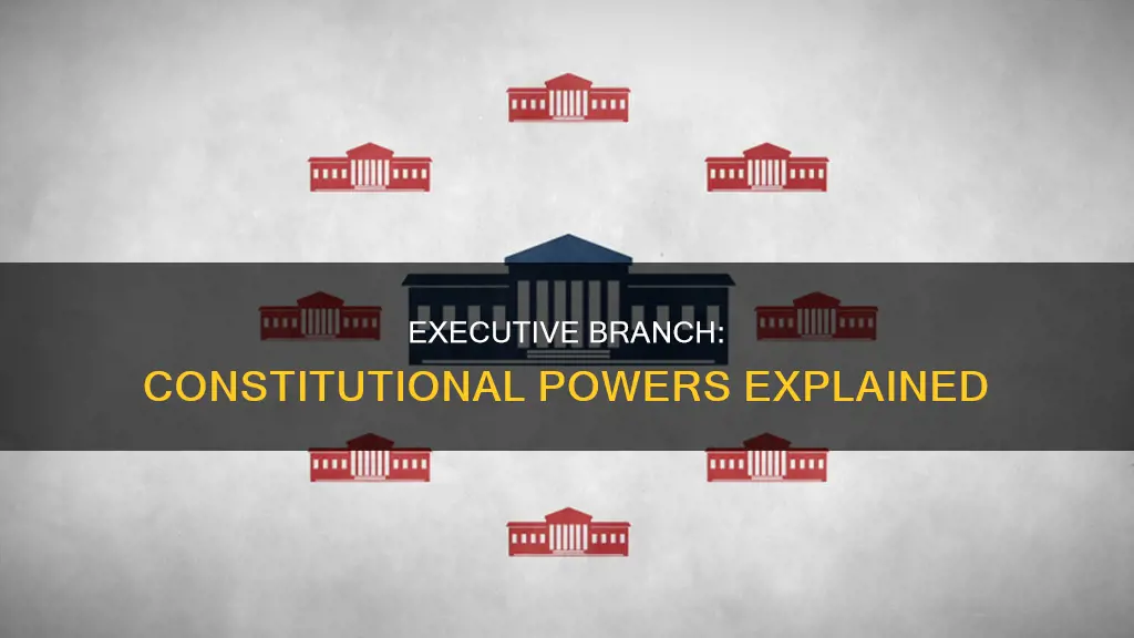 what is the constitutional power granted to the executive branch