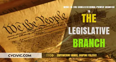 Legislative Branch: Constitutional Powers Explained