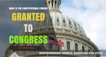 Congress' Constitutional Powers: Understanding the Extent