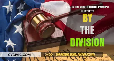 The Division: Constitutional Principles Explored