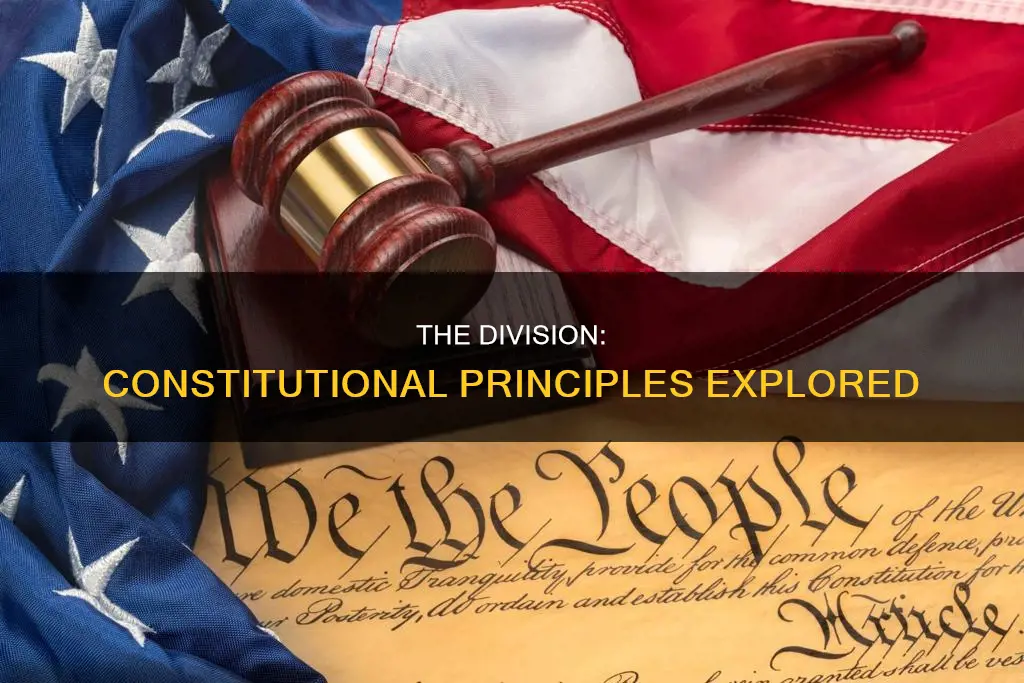 what is the constitutional principle illustrated by the division
