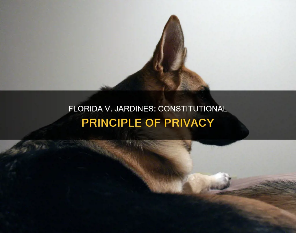 what is the constitutional principle in florida v jardines