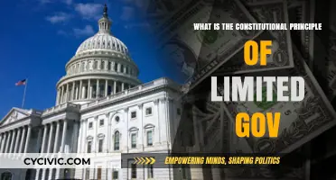 The Constitution's Limited Government Principle