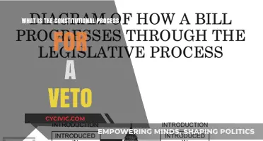 The President's Veto Power: A Constitutional Overview