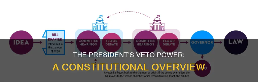 what is the constitutional process for a veto