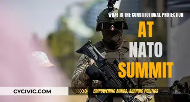 Constitutional Rights: NATO Summit Security Measures