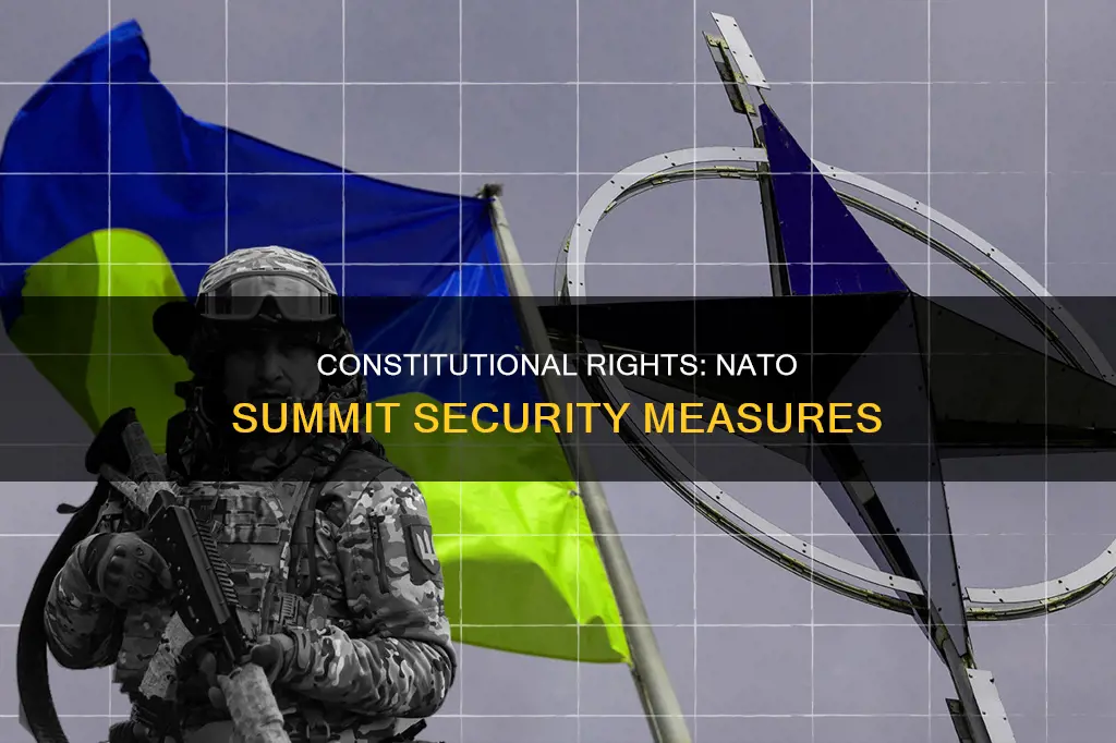 what is the constitutional protection at nato summit