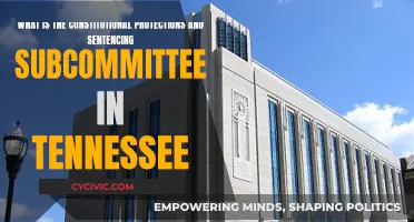 Tennessee's Constitutional Protections and Sentencing Subcommittee: Explained