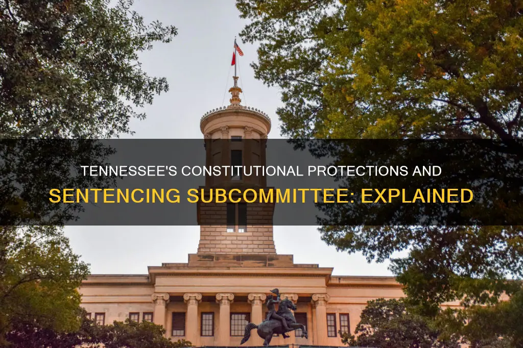 what is the constitutional protections and sentencing subcommittee in tennessee