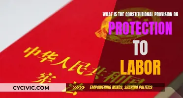 Labor Rights: Constitutional Protections for Workers Explained