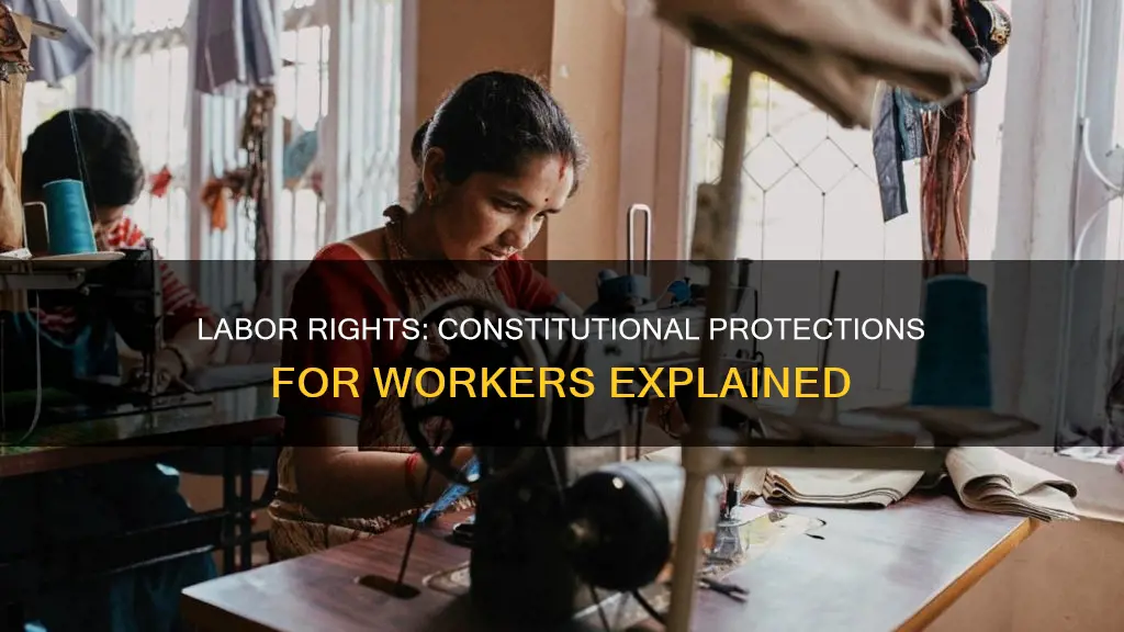 what is the constitutional provision on protection to labor