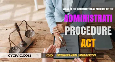 Understanding the Administrative Procedure Act's Constitutional Purpose