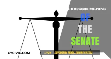The Senate's Constitutional Purpose Explained