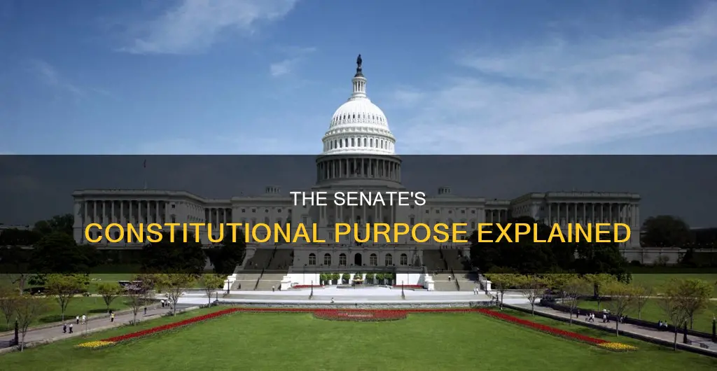 what is the constitutional purpose of the senate