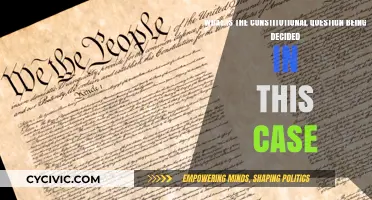 The Constitutional Question: What's at Stake?