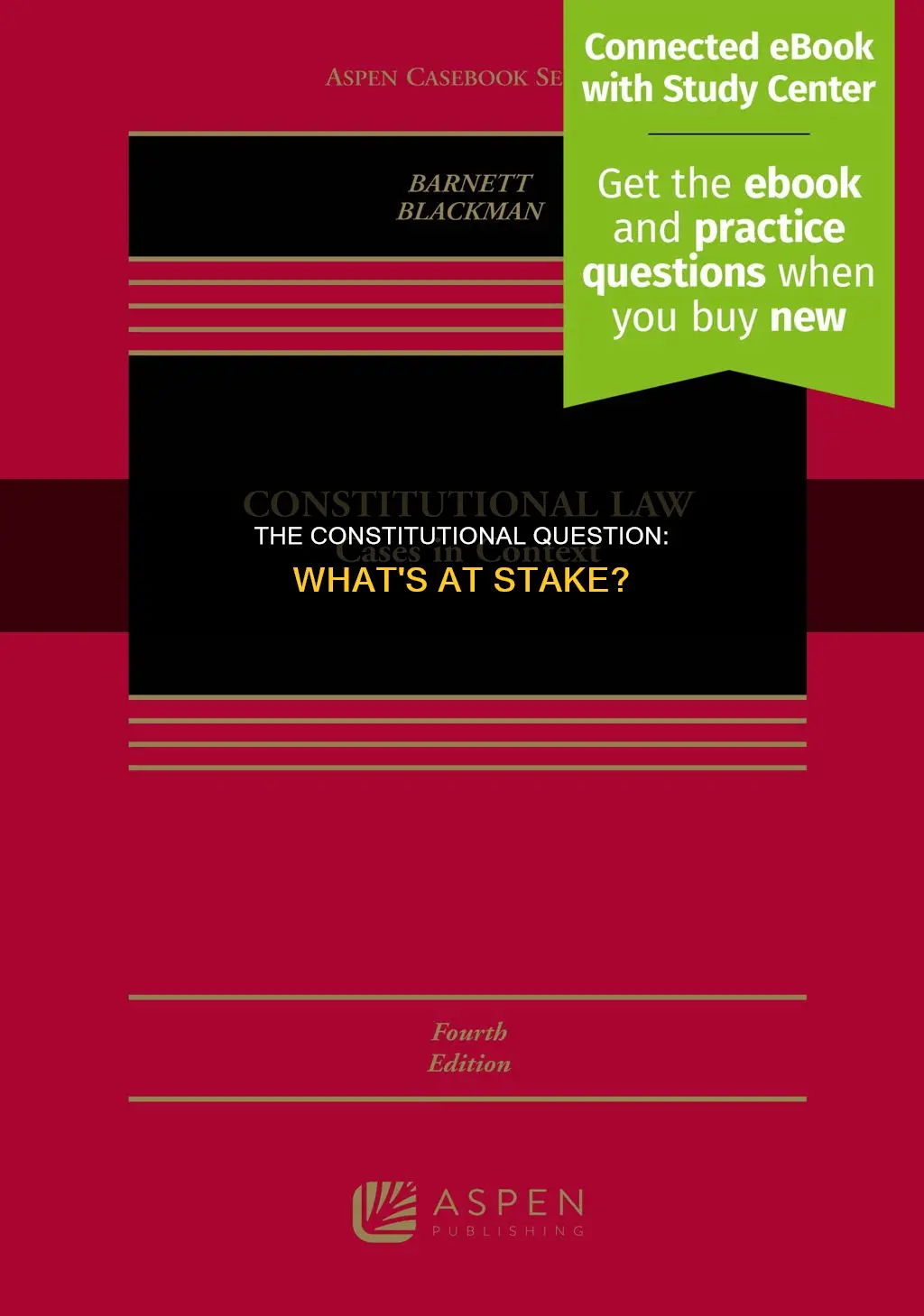 what is the constitutional question being decided in this case