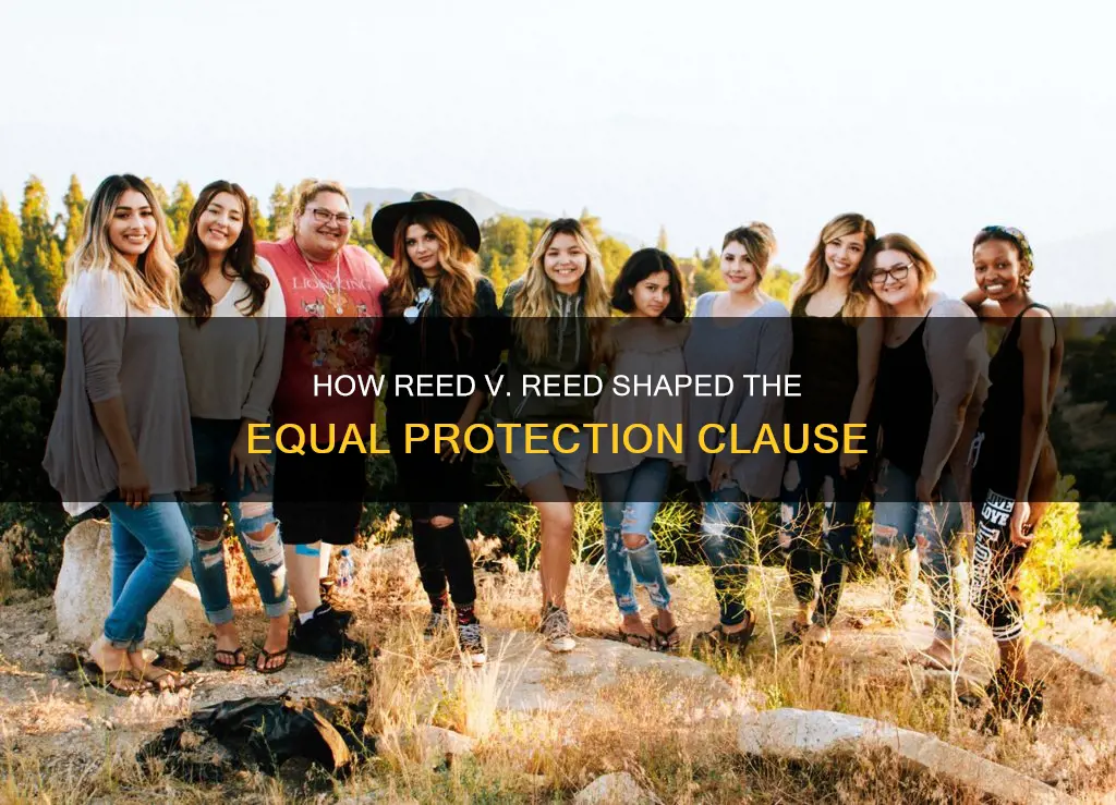 what is the constitutional question for reed v reed