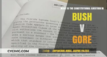 Bush v. Gore: A Constitutional Conundrum