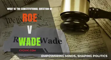Roe v Wade: The Constitutional Question
