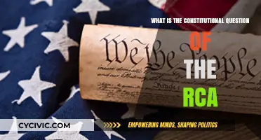 RCA's Constitutional Question: What's at Stake?