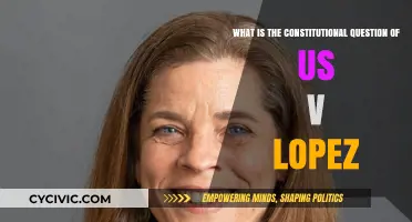 Understanding US v. Lopez: Commerce Clause and Gun-Free School Zones