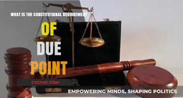 Due Process: A Constitutional Guarantee of Fair Treatment