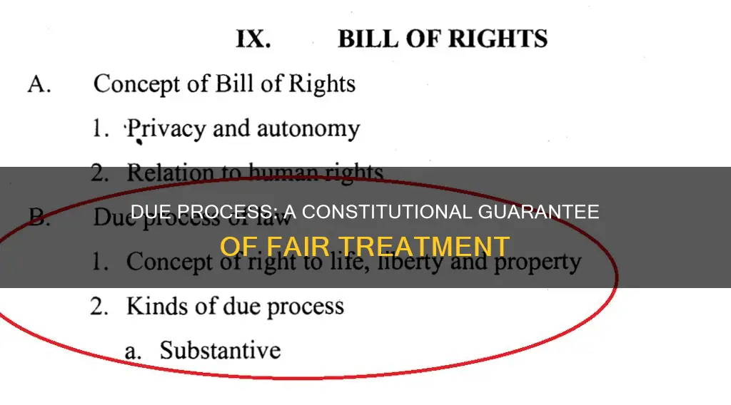 what is the constitutional requirement of due point