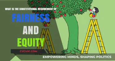 Fairness and Equity: Our Constitutional Rights