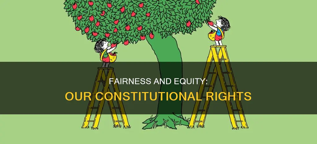 what is the constitutional requirement of fairness and equity