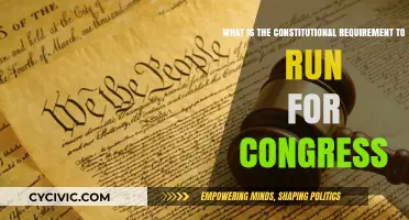 Who Can Run for Congress? Understanding the Requirements