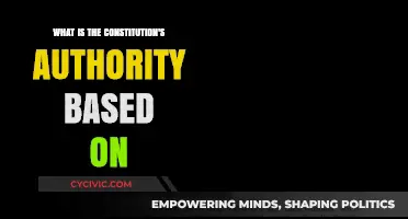 The Constitution's Authority: What's the Basis?