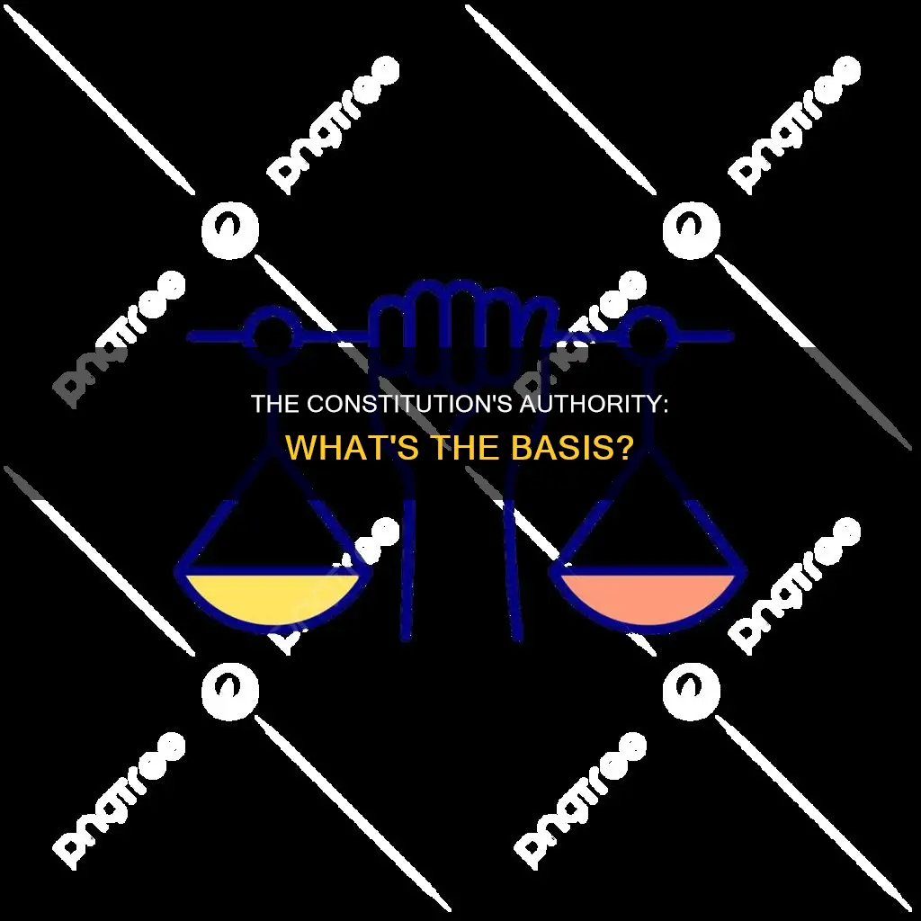 what is the constitution