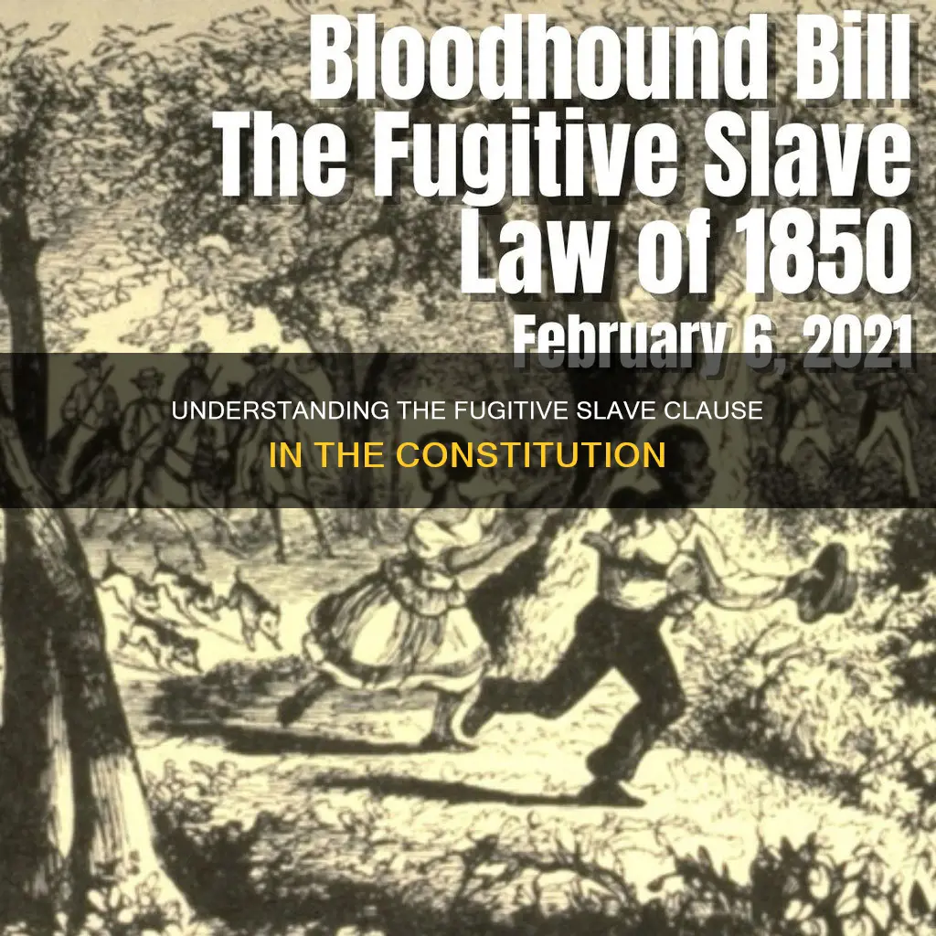 what is the constitution