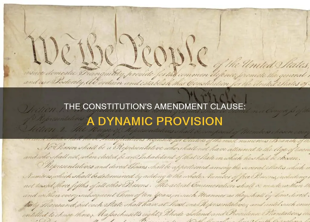 what is the constitution