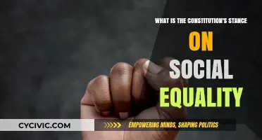 Constitution's Take on Social Equality
