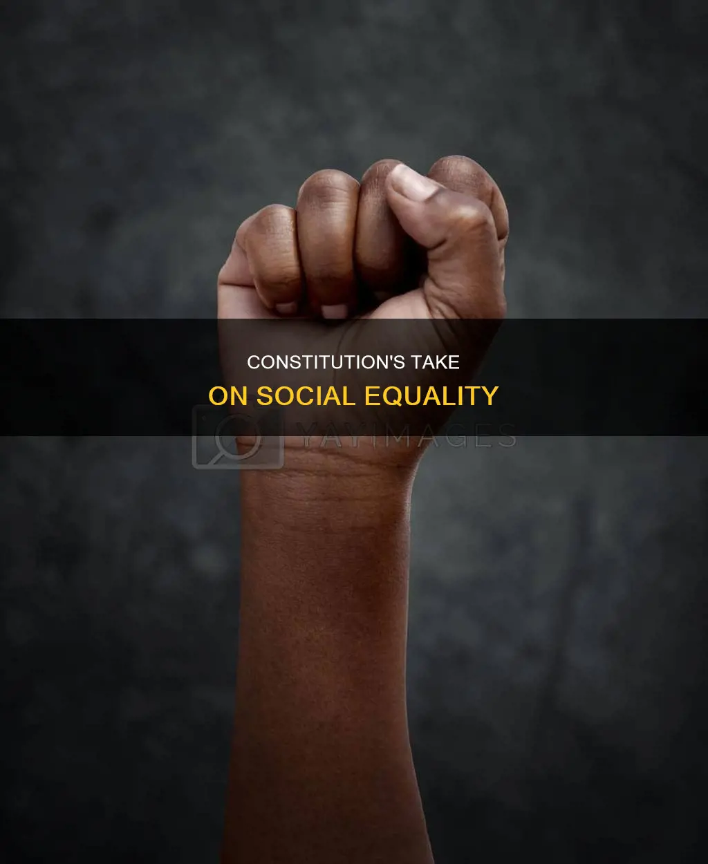 what is the constitution