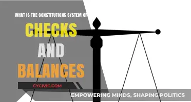 Checks and Balances: The Constitution's Power Play