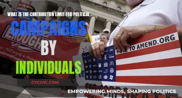 How Much Can Individuals Donate to Political Campaigns?