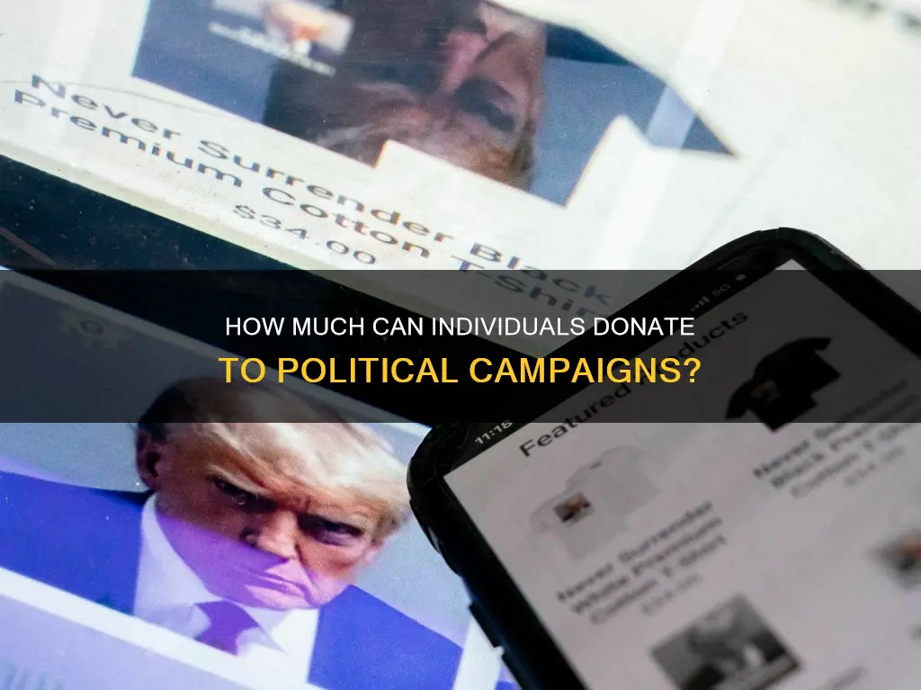 what is the contribution limit for political campaigns by individuals
