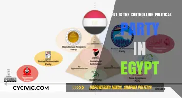 Egypt's Political Landscape: Understanding the Dominant Ruling Party Today