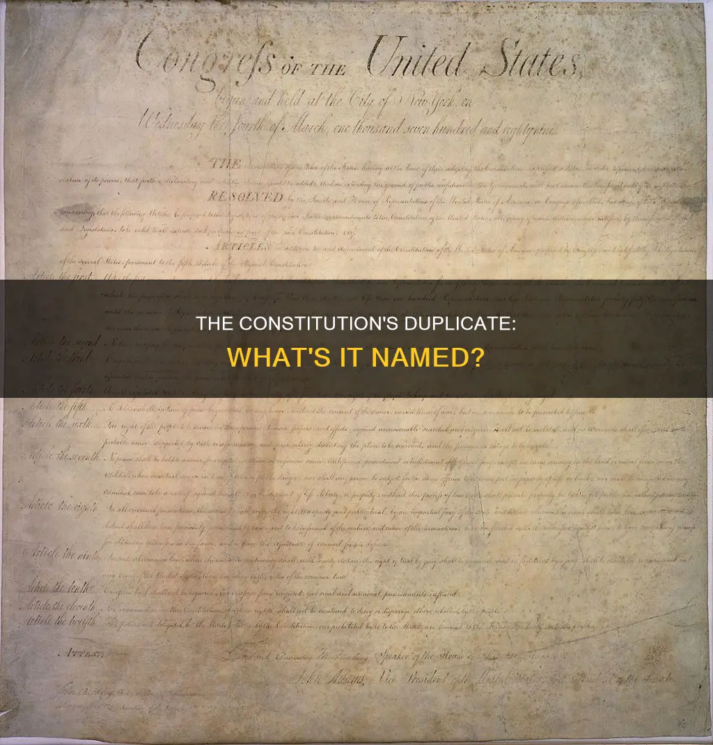 what is the copy of the constition called