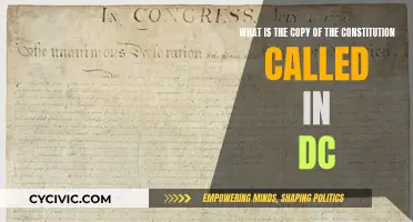 Constitution Copies: DC's Special Edition Originals